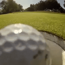 GolfDom